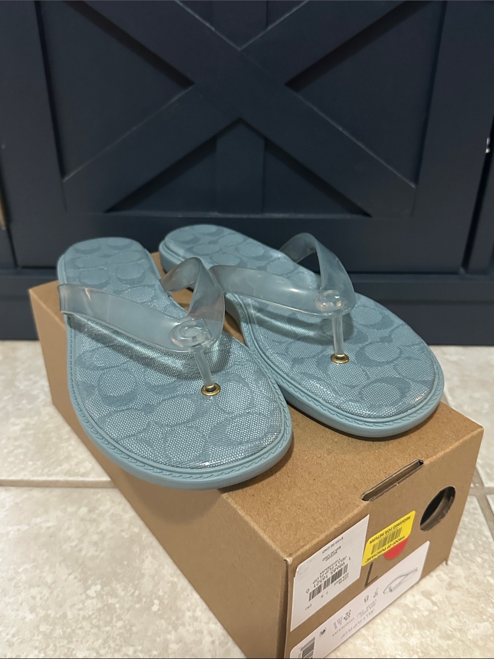 Coach Jelly Flip Flop Sandal Sea Mist 7